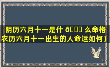 阴历六月十一是什 🐝 么命格（农历六月十一出生的人命运如何）